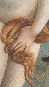 Sandro Botticelli The Birth of Venus (mk36) china oil painting artist